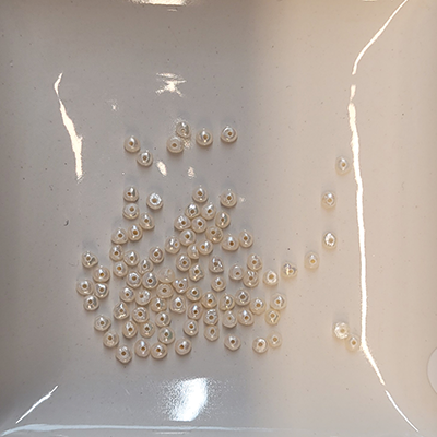 Süsswasserperle weiß 2mm