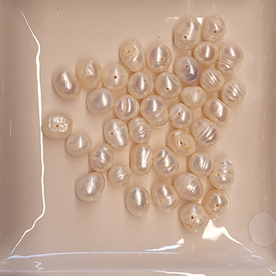 Süßwasserperle weiß 7mm