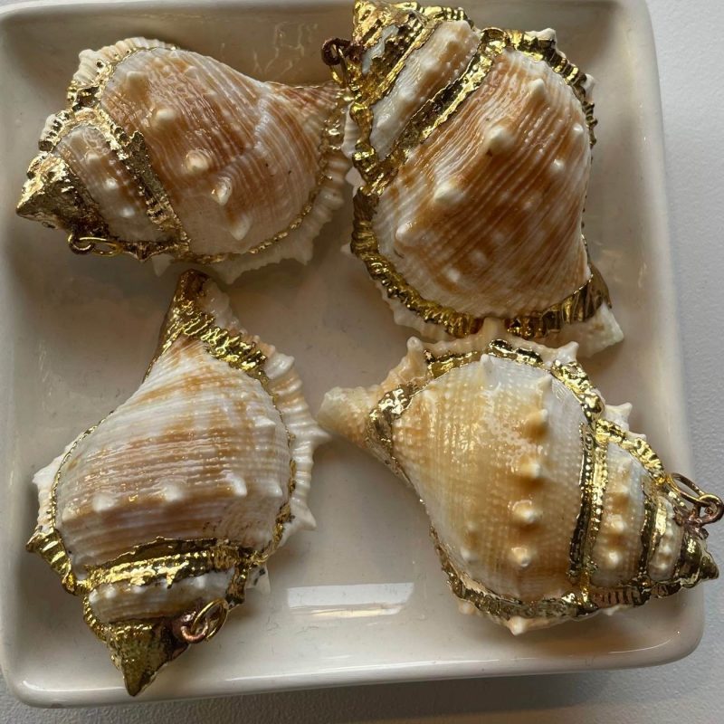 Anhänger Schneckenmuschel beige